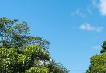 A Prefeitura de Itaúna iniciou nesta semana serviços de capina, roçada e limpeza ao longo da Avenida JK.