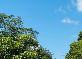 A Prefeitura de Itaúna iniciou nesta semana serviços de capina, roçada e limpeza ao longo da Avenida JK.