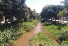 Projeto de pagamento por serviços ambientais vai incentivar a preservação da bacia do São João