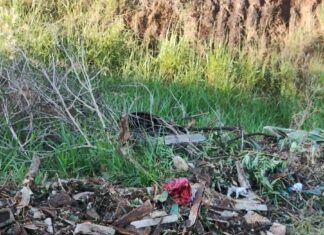 Descarte irregular com animal morto revolta moradores em Itaúna