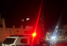 PM apreende autores de furto e prende mulher por desacato em Itaúna