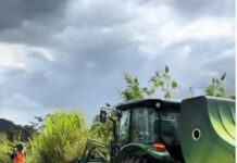 “Capina elétrica é um método limpo e resultados serão vistos nos próximos dias”, diz diretor de empresa