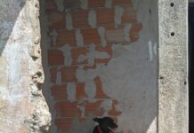 Homem é preso por maus-tratos e cão é resgatado no Centro de Itaúna