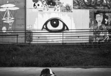 Olhares que revelam “invisíveis” marcam exposição de Levy Vargas