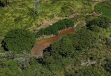 IGAM investiga mancha avermelhada registrada no Rio São João