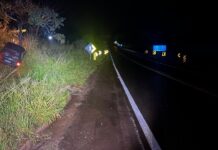 Carro sai da pista e bate em árvore na MG-050, em Itaúna