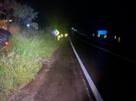 Carro sai da pista e bate em árvore na MG-050, em Itaúna