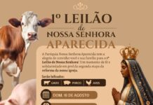 1º Leilão de Nossa Senhora Aparecida será realizado em agosto