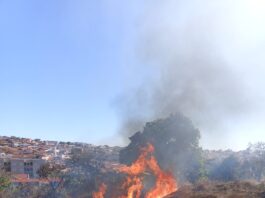 Moradores registram fogo no bairro Santa Edwiges