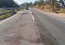 Mulher morre após ser atropelada e autoridades buscam informações
