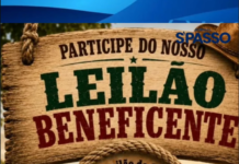 Leilão da AVACCI será neste domingo; população pode contribuir para o evento