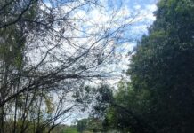 Carreta derrapa em formato de “L” e bate em caminhonete