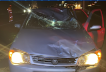 Homem morre após ser atropelado ao atravessar a rodovia MG-050